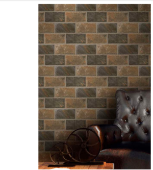 Pizarra Cuero 25x50